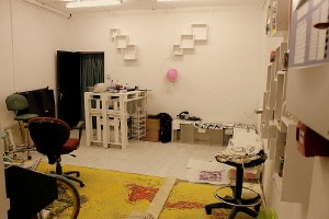 Gallery Renovations 2015